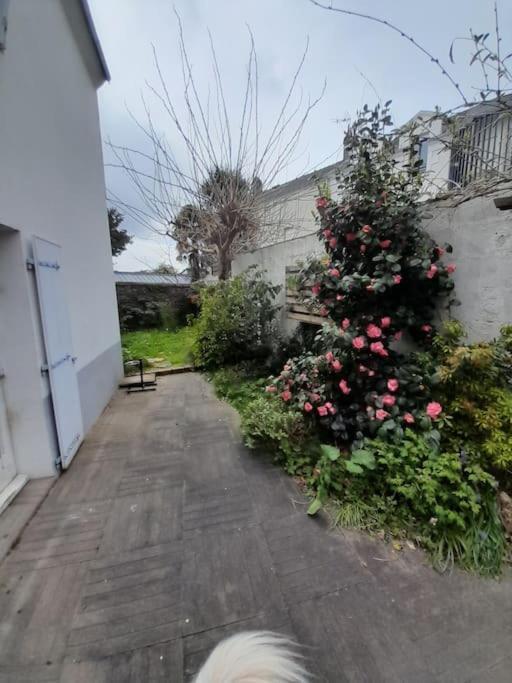 L'Octroi Nantes-6 Pers.-Jardin-Proche Tt Comm. 빌라 외부 사진